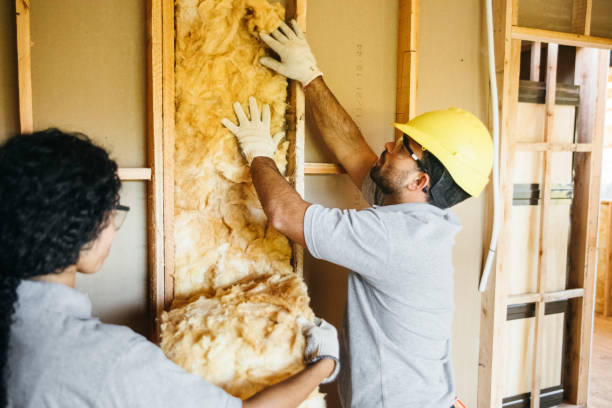 Best Wall Insulation Installation  in Mendenhall, MS